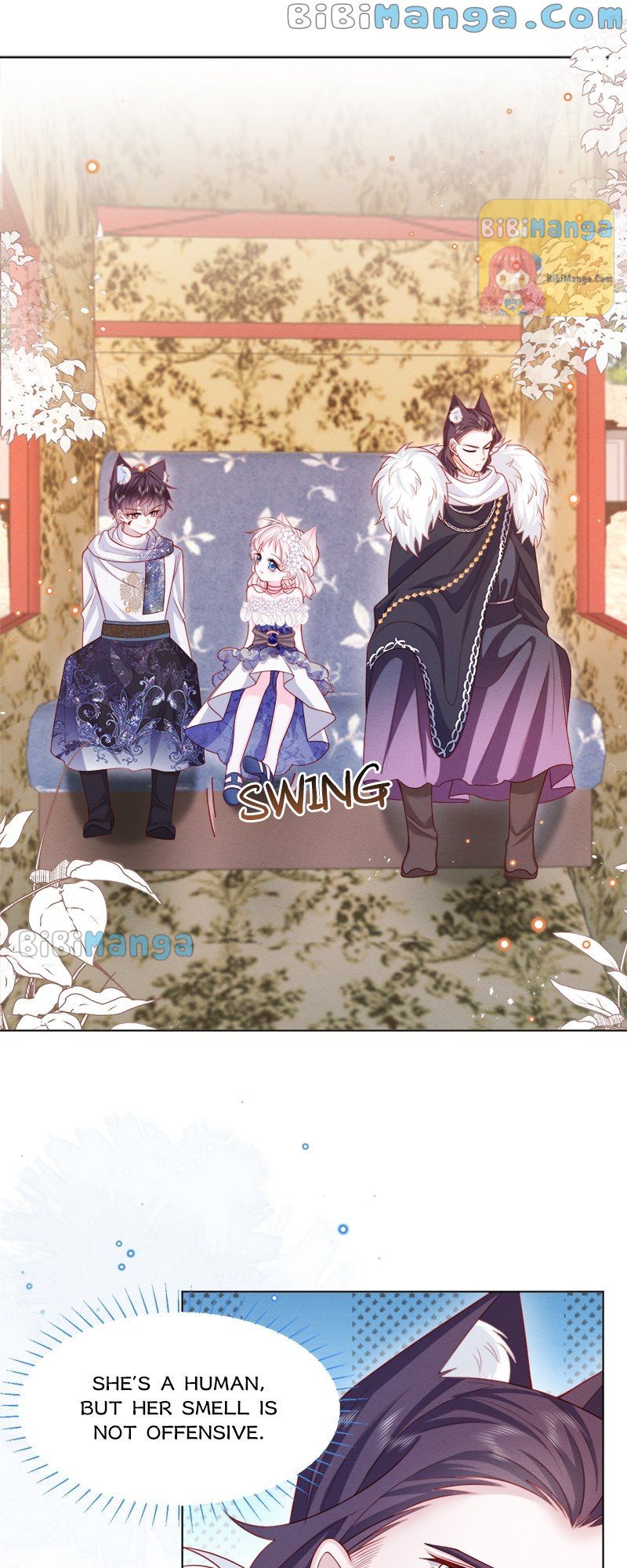 My Beloved Ninita Chapter 45 - Page 12