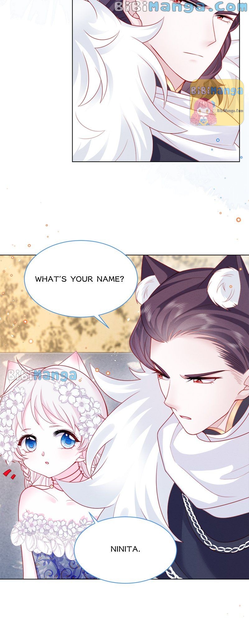 My Beloved Ninita Chapter 45 - Page 13