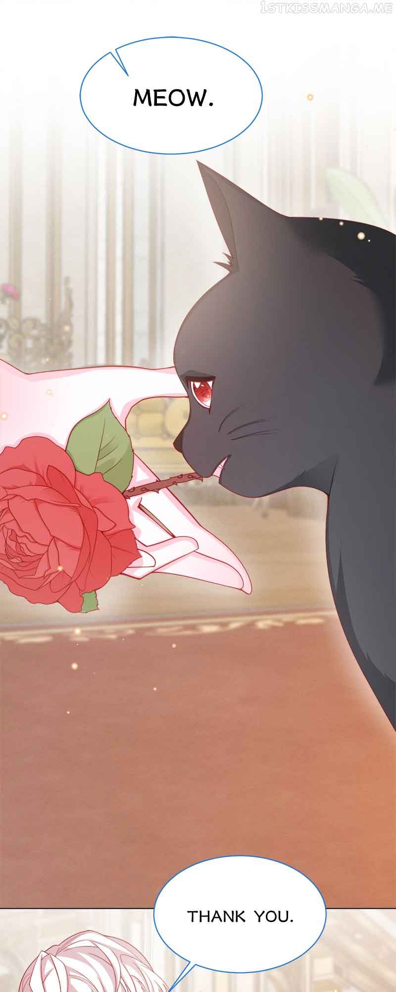 My Beloved Ninita Chapter 52 - Page 13