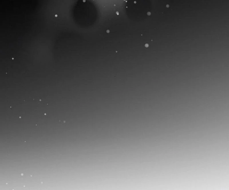 Do Your Best and Regret Chapter 13 - Page 54