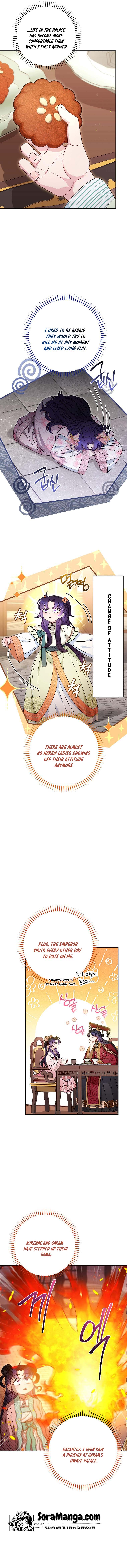 The Baby Concubine Wants to Live Quietly Chapter 20 - Page 9