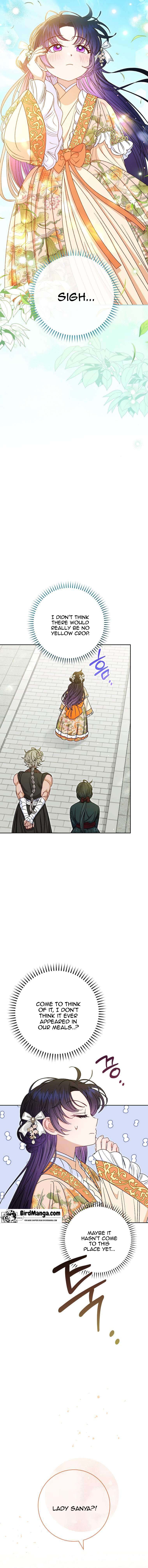 The Baby Concubine Wants to Live Quietly Chapter 32 - Page 17