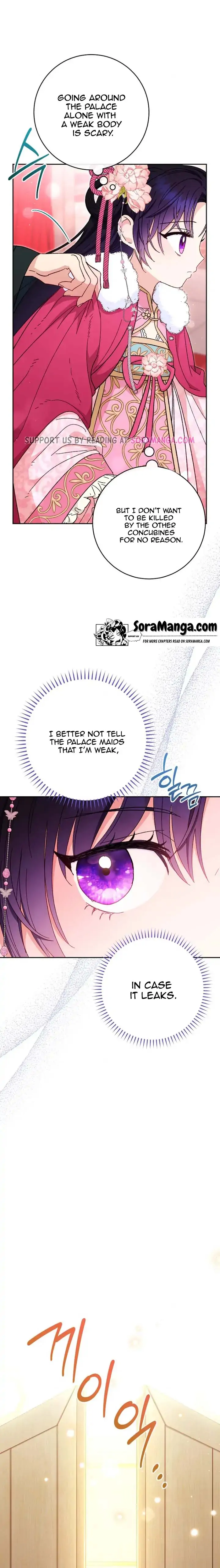 The Baby Concubine Wants to Live Quietly Chapter 4 - Page 13