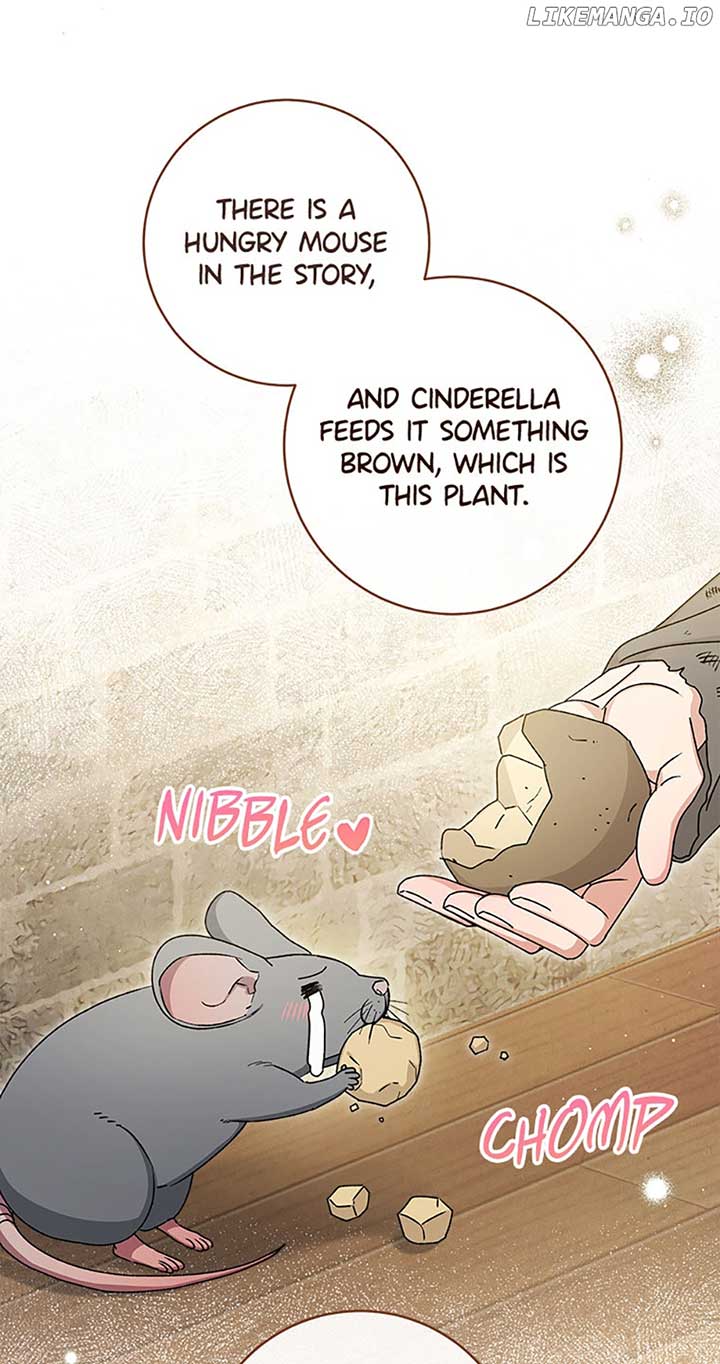 The Baby Concubine Wants to Live Quietly Chapter 45 - Page 5