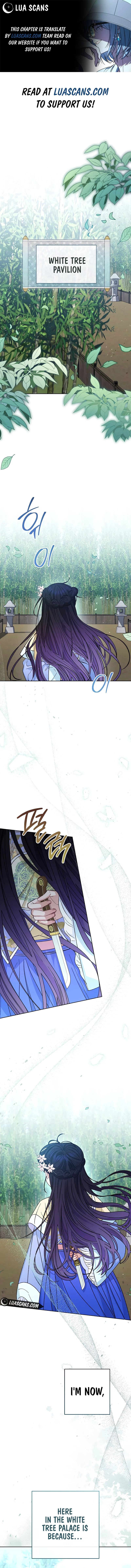 The Baby Concubine Wants to Live Quietly Chapter 49 - Page 1