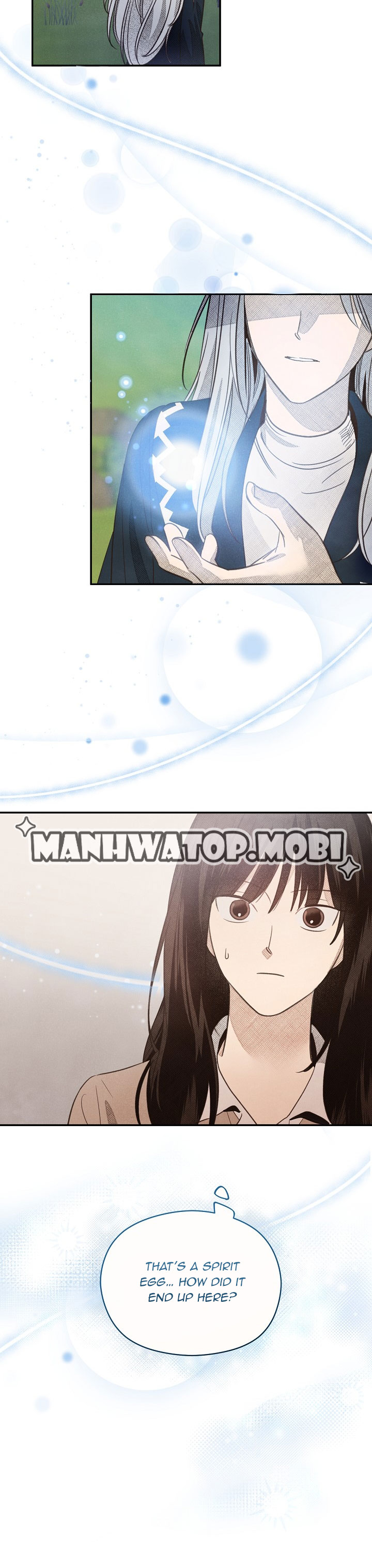 S-Class Spirit Master’s Taming Diary Chapter 1 - Page 26