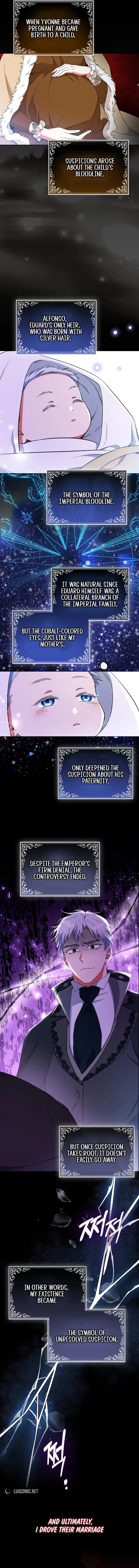 How to Perfectly End a Contract Marriage Chapter 36 - Page 3