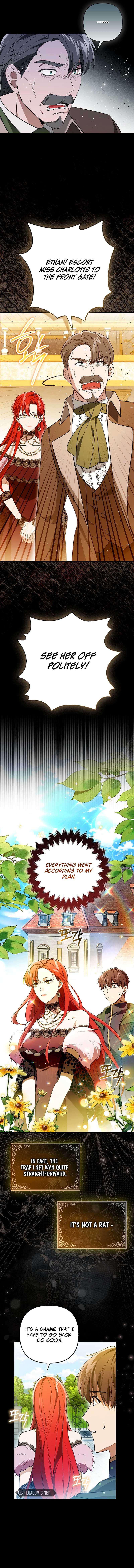 How to Perfectly End a Contract Marriage Chapter 4 - Page 13