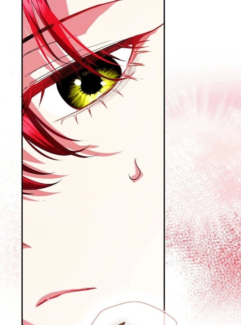 How to Perfectly End a Contract Marriage Chapter 62 - Page 101