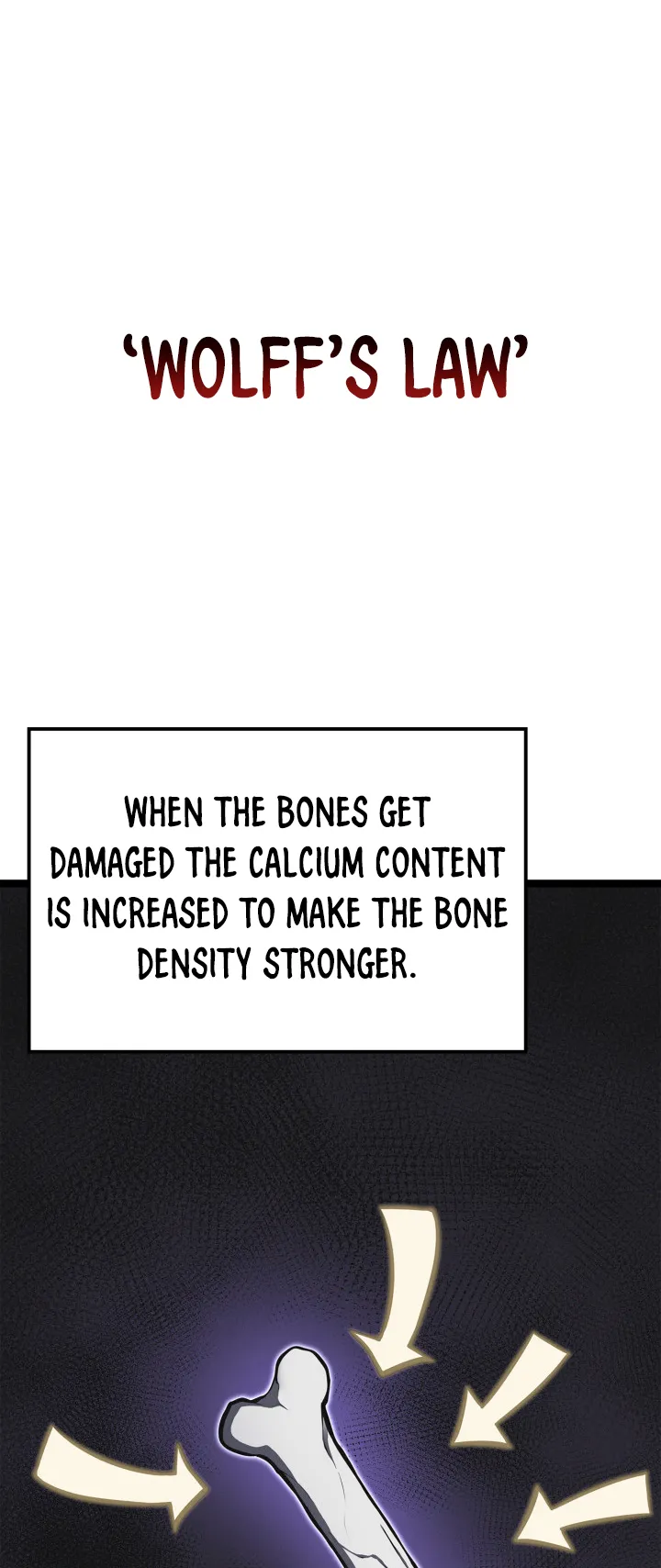 Kalli the Champion Chapter 29 - Page 36