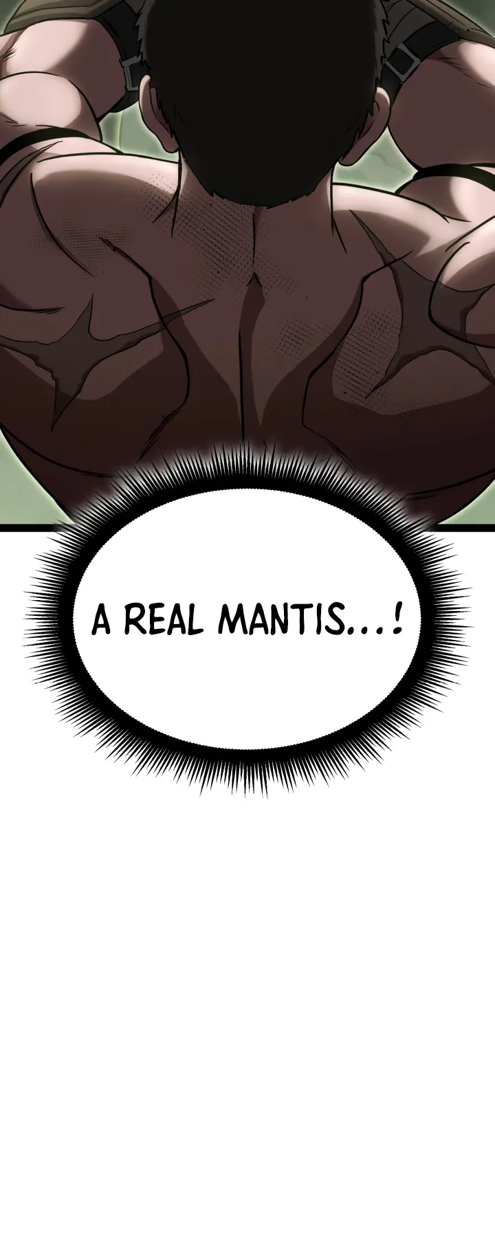 Kalli the Champion Chapter 9 - Page 14