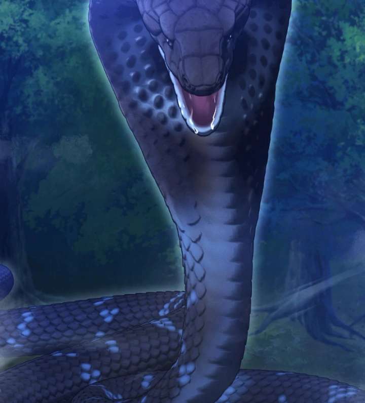 The Northern Warrior’s Beloved Bride Chapter 35 - Page 46