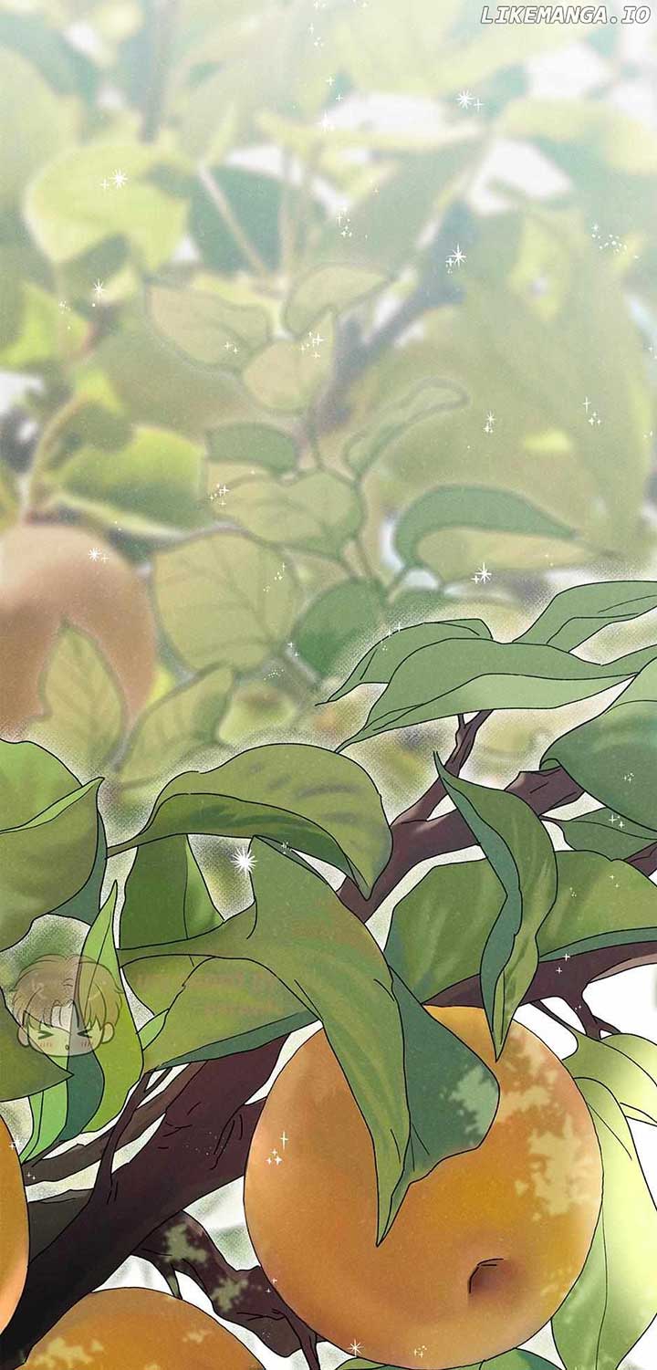 Royal Marriage (2024) Chapter 14 - Page 1