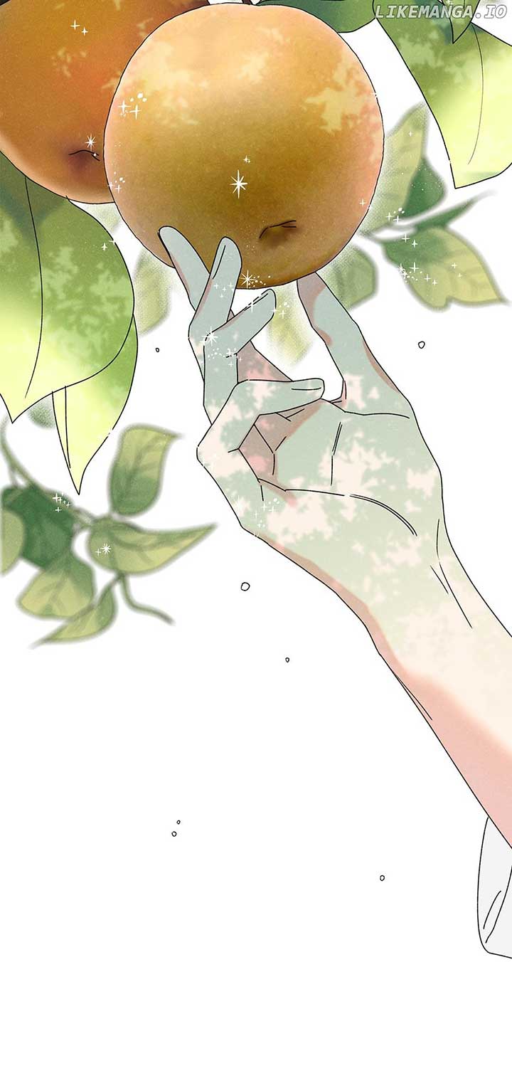 Royal Marriage (2024) Chapter 14 - Page 2