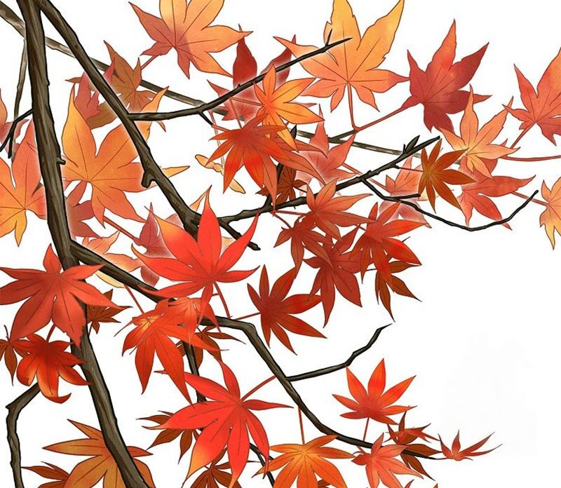 Royal Marriage (2024) Chapter 8 - Page 45