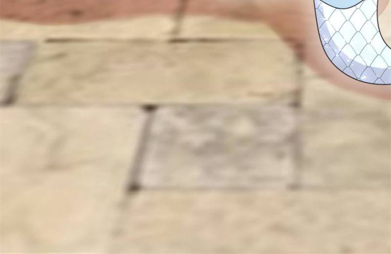 I Became the Beastman’s Wife Chapter 307 - Page 19