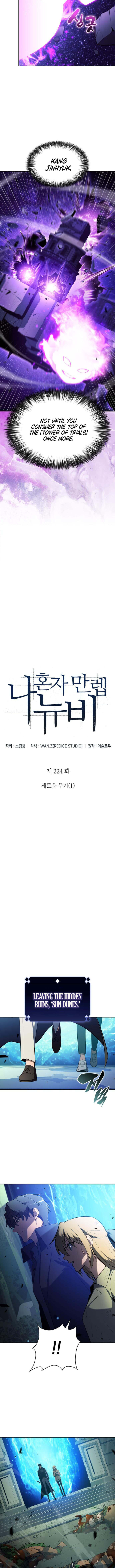 Solo Max-Level Newbie Chapter 224 - Page 2