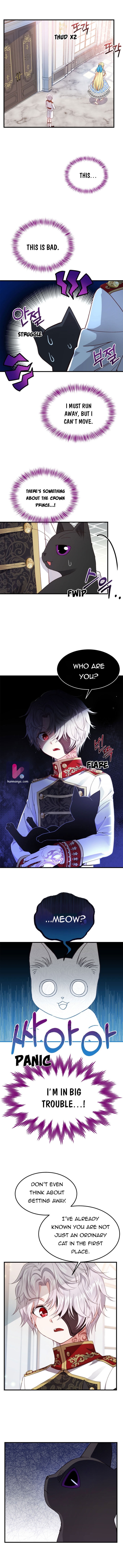 I Became the Wife of the Monstrous Crown Prince Chapter 40 - Page 1