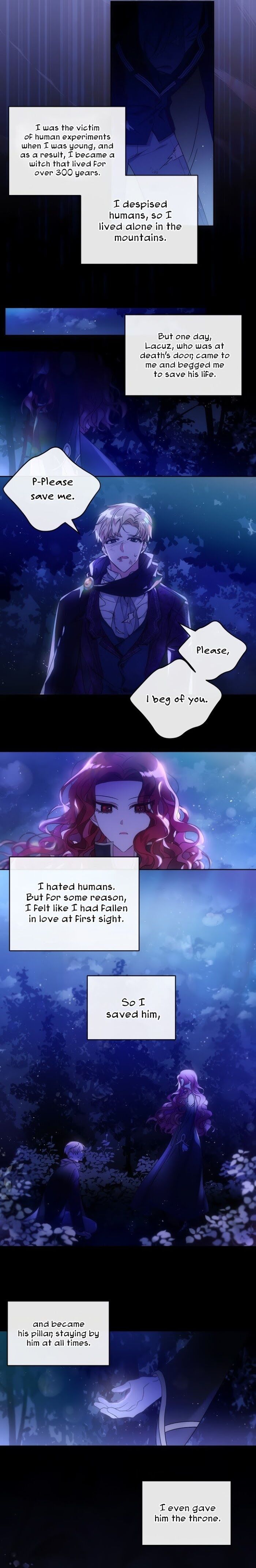 The Princess is Evil Chapter 0 - Page 2