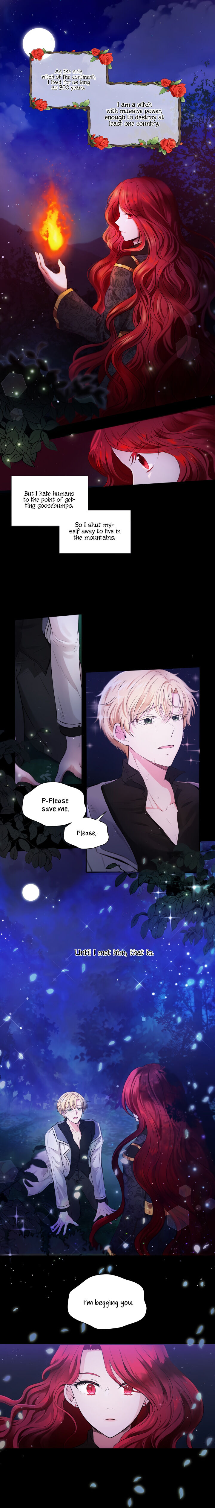 The Princess is Evil Chapter 1 - Page 2