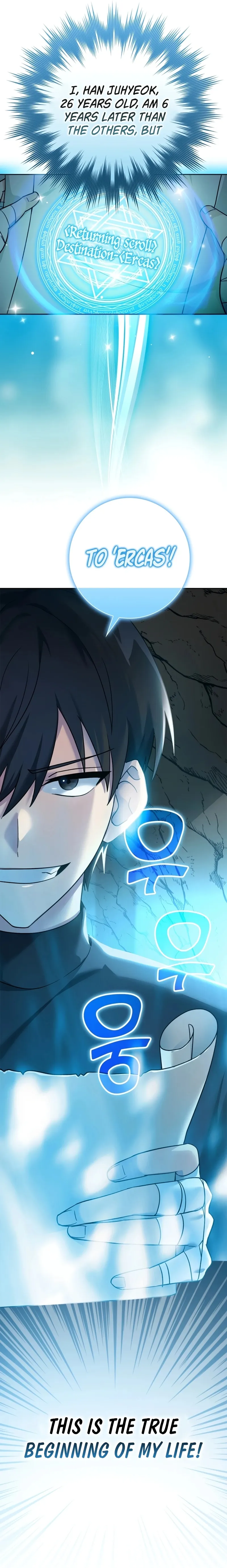 Max Level Player Chapter 1 - Page 25