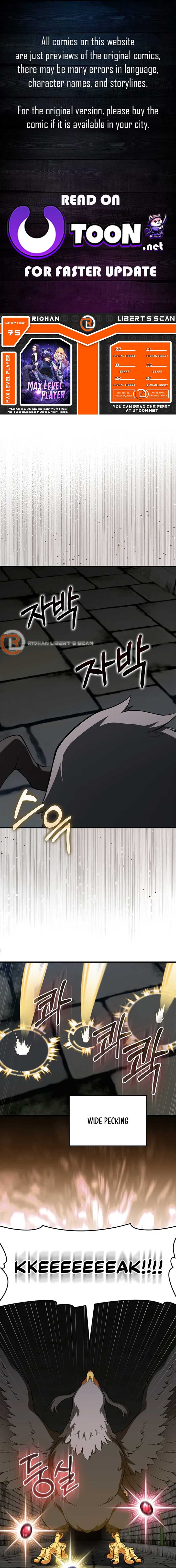 Max Level Player Chapter 75 - Page 1