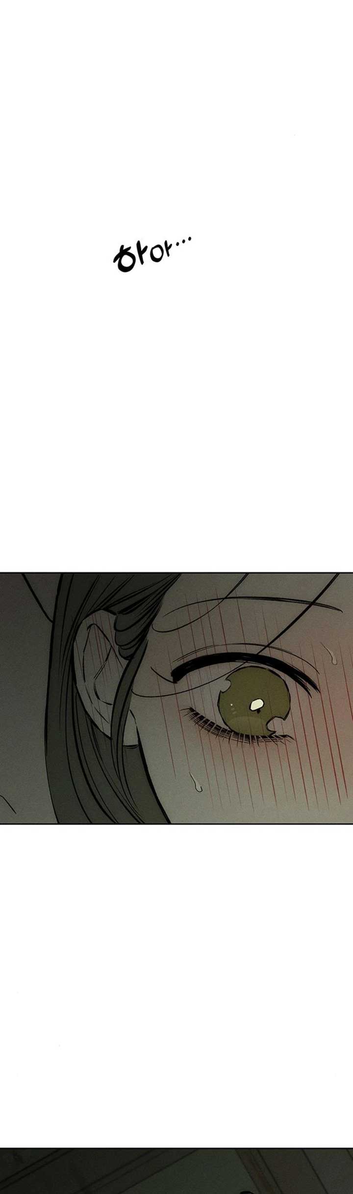 Tears on a Withered Flower Chapter 24 - Page 17