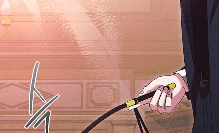 Try Begging Me Chapter 37 - Page 216