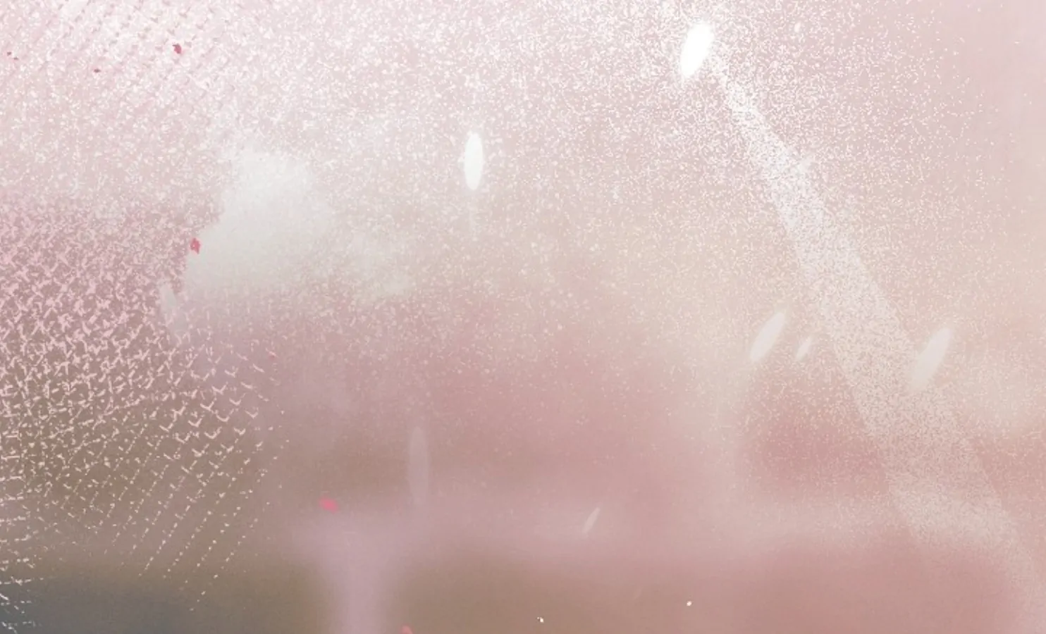 Try Begging Me Chapter 47 - Page 243