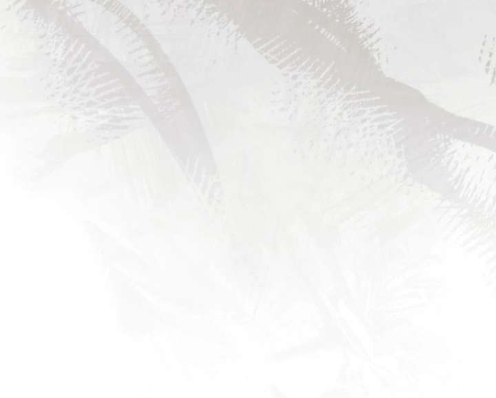 Try Begging Me Chapter 59 - Page 144