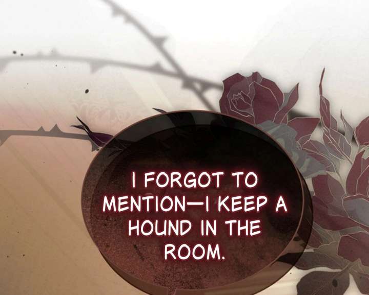 Try Begging Me Chapter 60 - Page 205