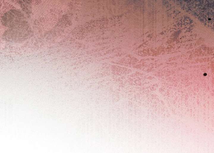 Try Begging Me Chapter 65 - Page 206