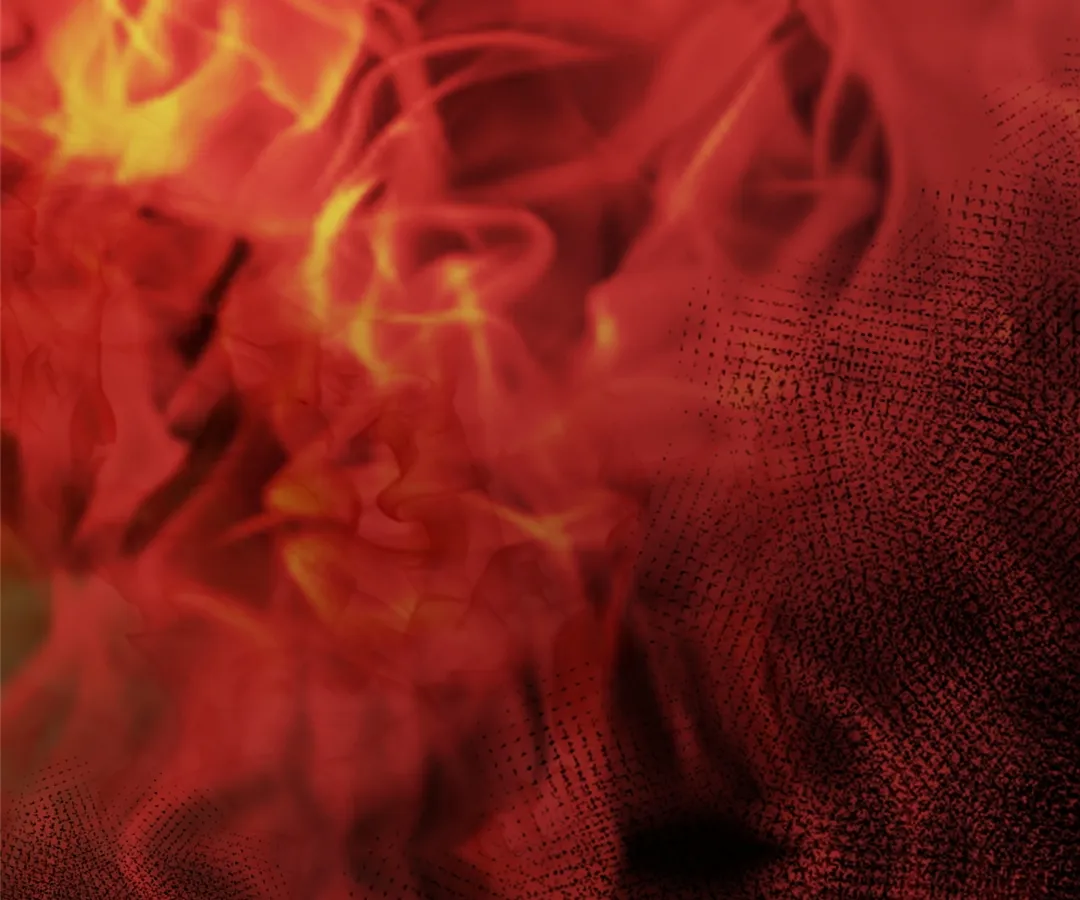 Don’t Mess with a Deadly Revenger Chapter 1 - Page 24