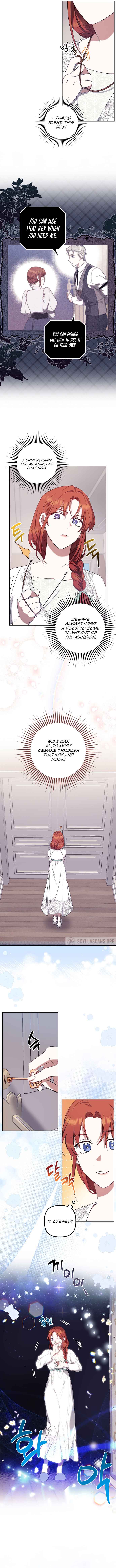 The Abandoned Bachelorette Enjoys Her Simple Life Chapter 11 - Page 5