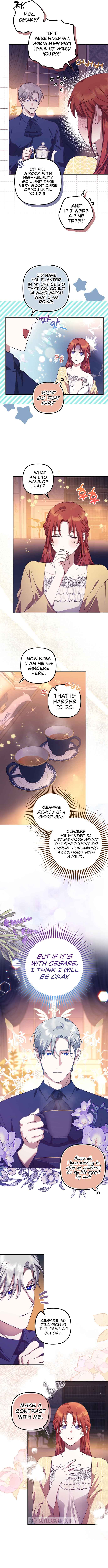 The Abandoned Bachelorette Enjoys Her Simple Life Chapter 14 - Page 11