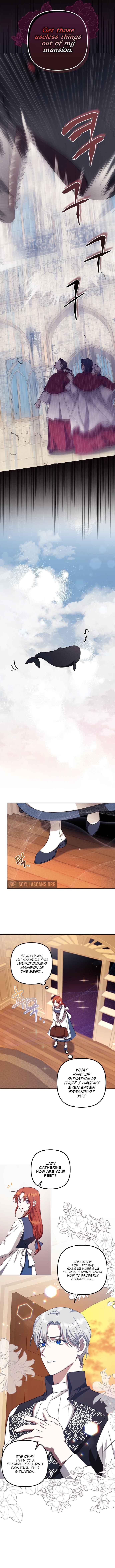 The Abandoned Bachelorette Enjoys Her Simple Life Chapter 16 - Page 5