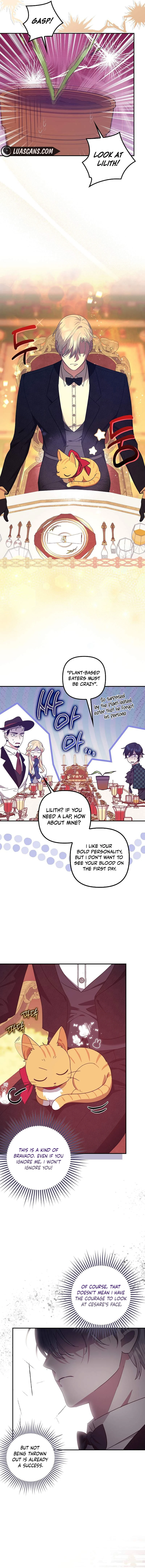 The Abandoned Bachelorette Enjoys Her Simple Life Chapter 61 - Page 10