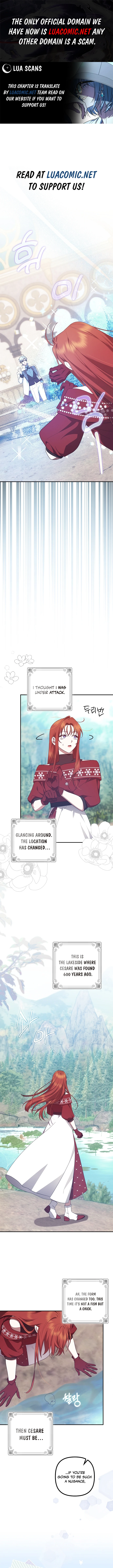 The Abandoned Bachelorette Enjoys Her Simple Life Chapter 66 - Page 1