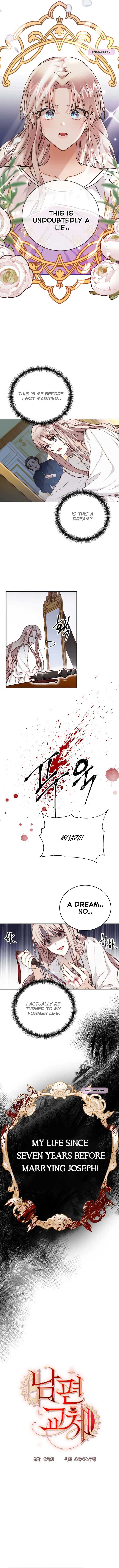 Husband Replacement Chapter 2 - Page 6