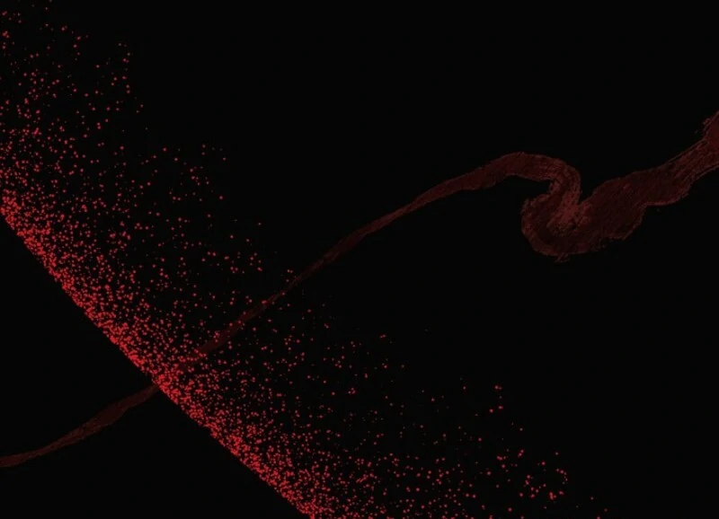 The Villain Discovered My Identity Chapter 172 - Page 46