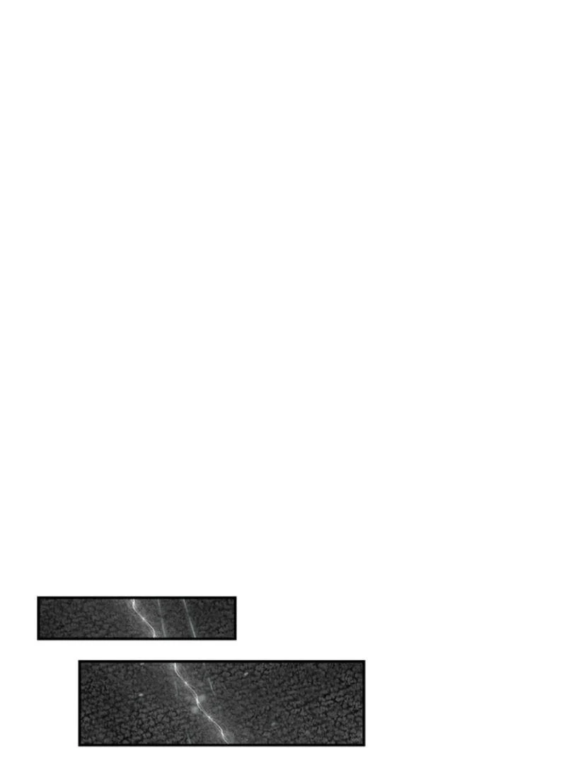 Help, My Secret Identity! Chapter 6 - Page 152