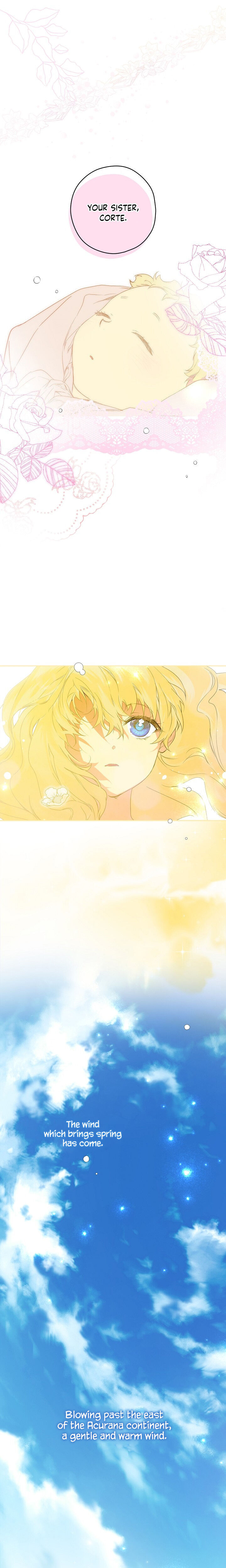 Secret Lady Chapter 1 - Page 11