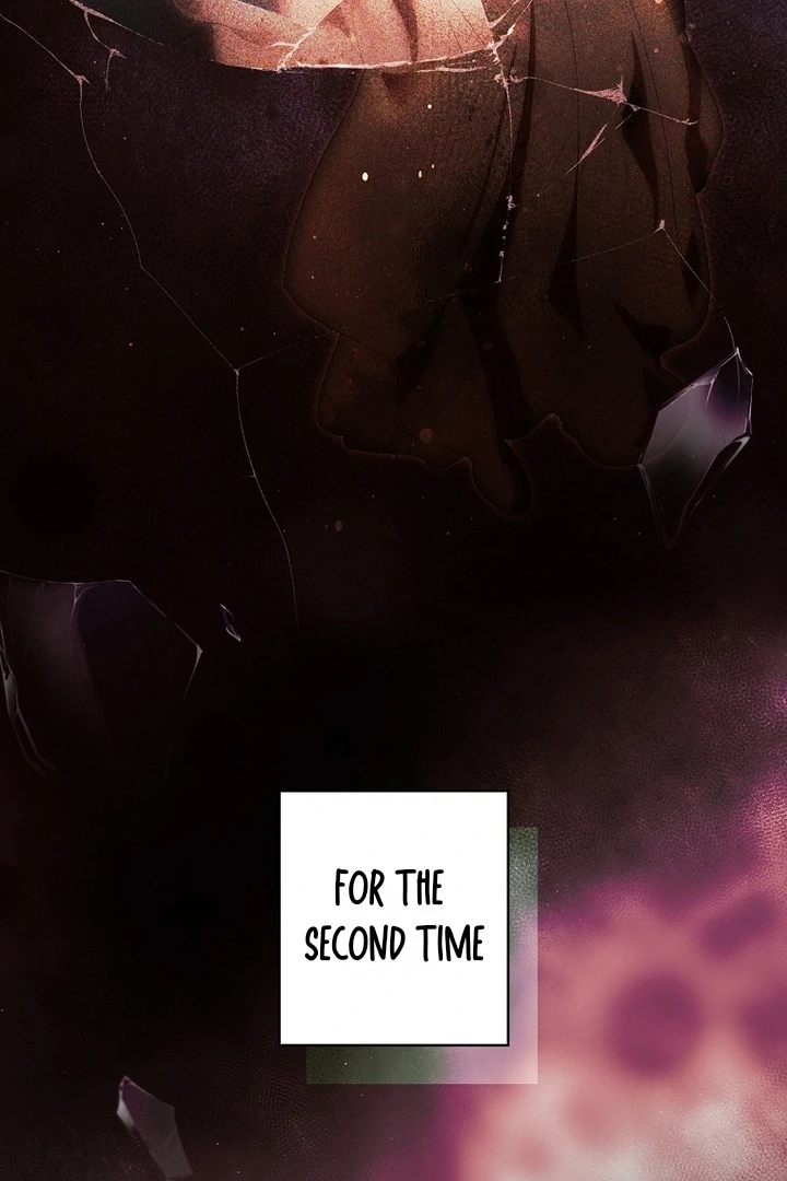 Secret Lady Chapter 116 - Page 13