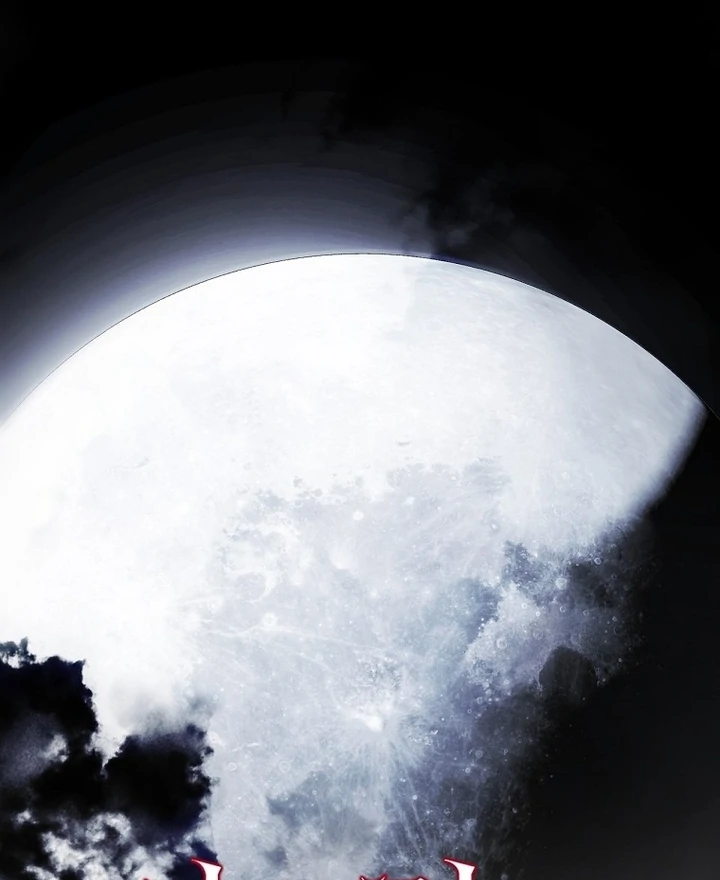 Secret Lady Chapter 116 - Page 15