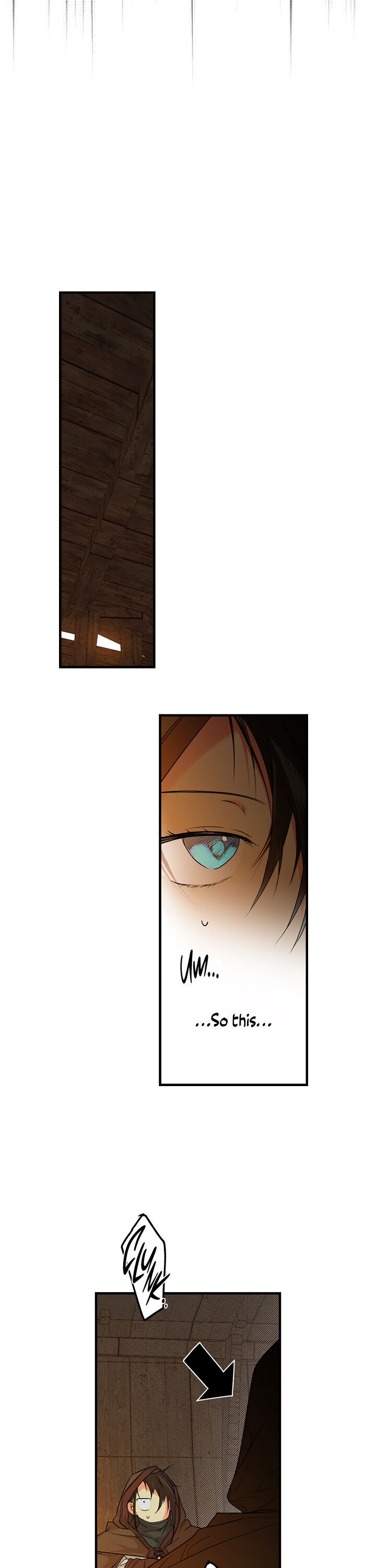 Secret Lady Chapter 17 - Page 19