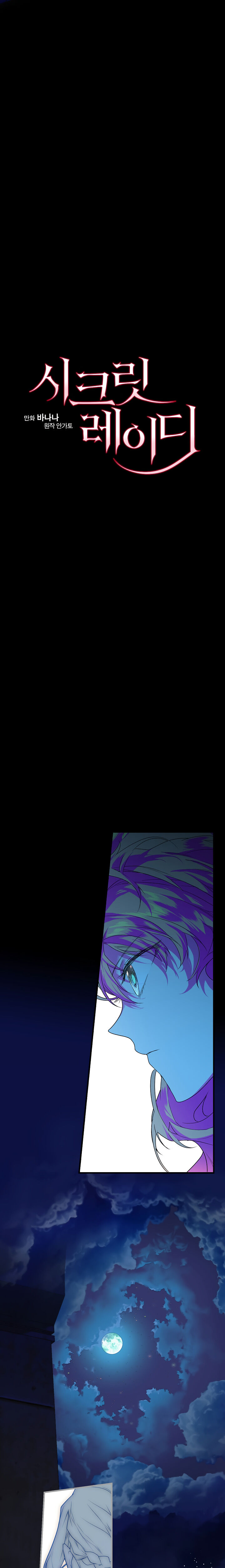 Secret Lady Chapter 4 - Page 11