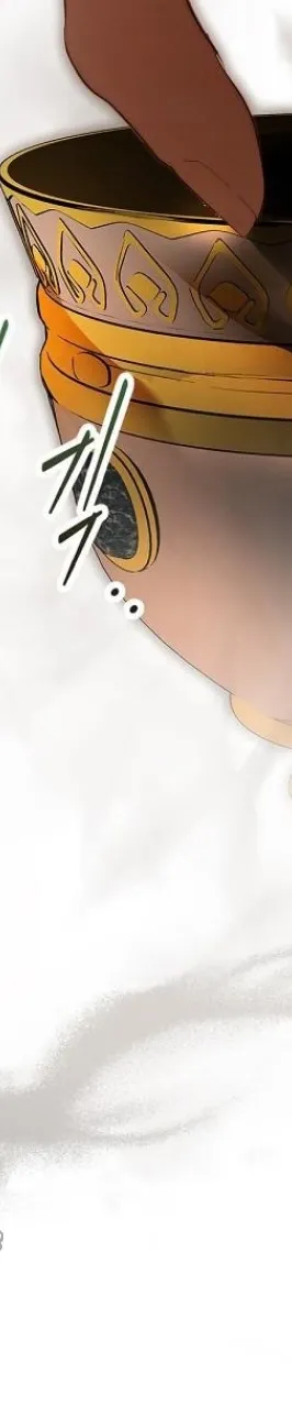 Secret Lady Chapter 63 - Page 66