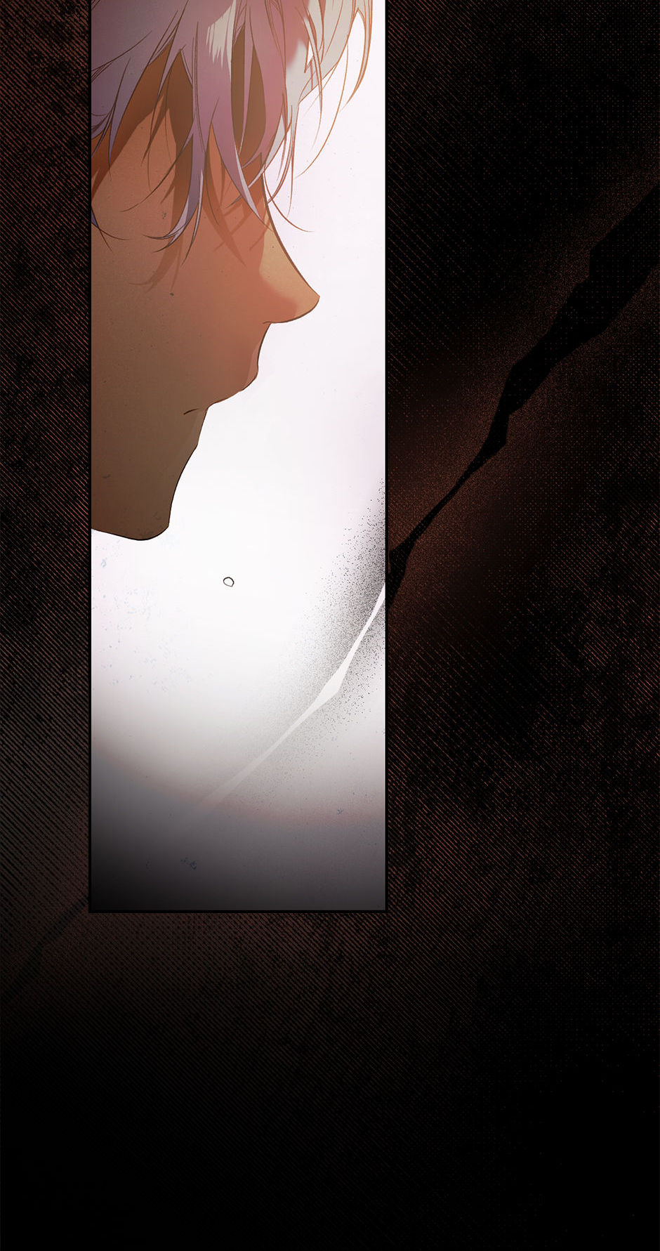 Secret Lady Chapter 69 - Page 63