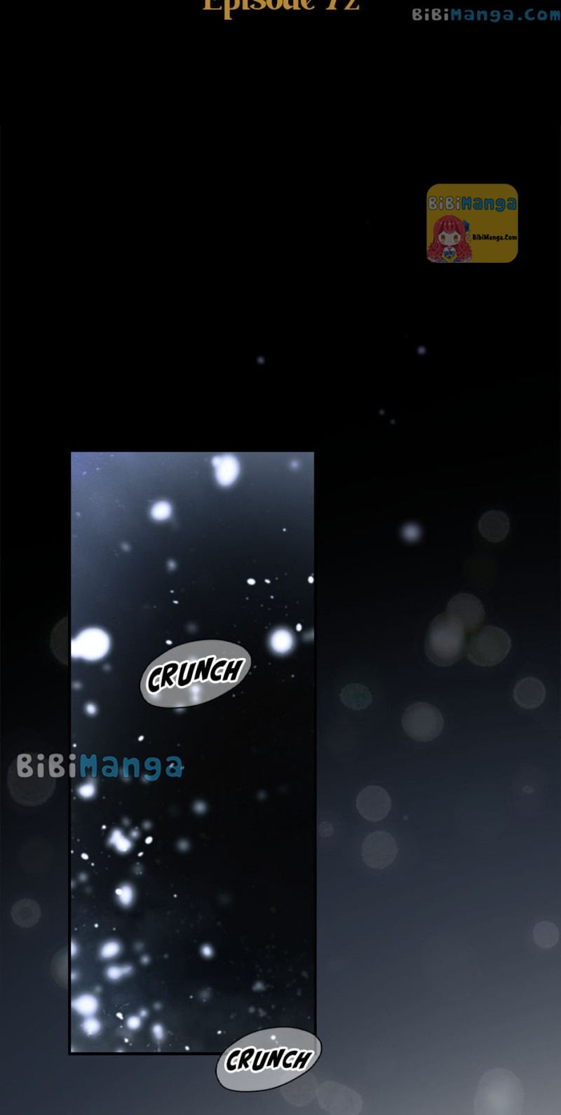 Secret Lady Chapter 72 - Page 14