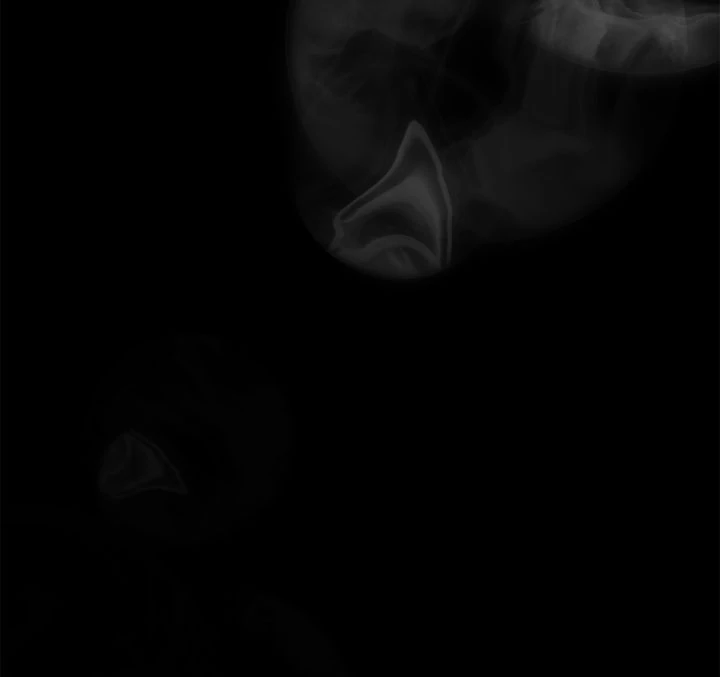 The Problematic Prince Chapter 94 - Page 19